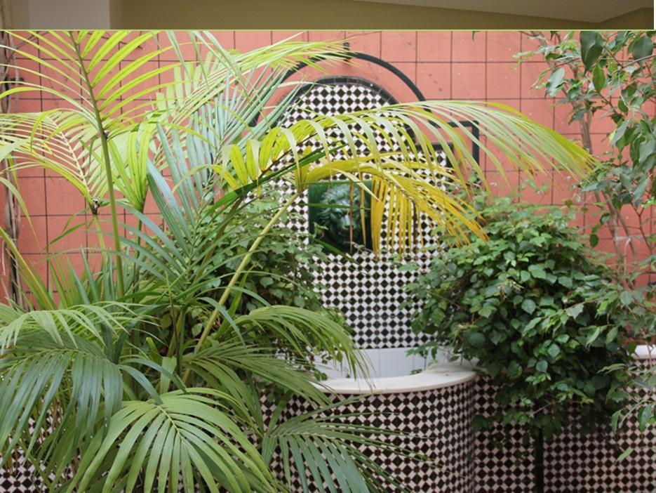 Hotel Plateria Ecija Interior photo